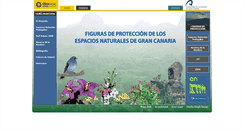 Desktop Screenshot of figurasdeprotecciondegrancanaria.es